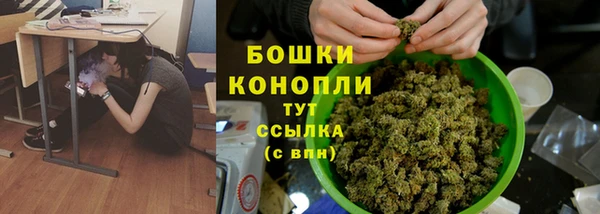 индика Великий Новгород