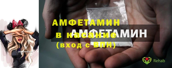 прущие грибы Балахна