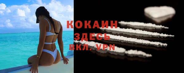 бошки Белокуриха