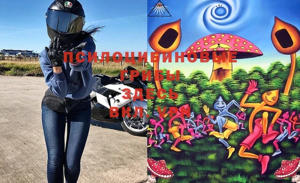 бошки Белокуриха