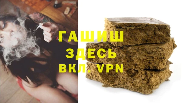 прущие грибы Балахна