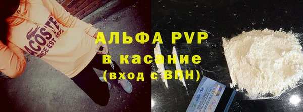 бошки Белокуриха