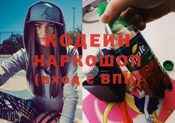 индика Великий Новгород