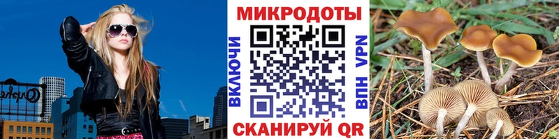 Галлюциногенные грибы GOLDEN TEACHER  KRAKEN зеркало  Белоусово  где найти наркотики 